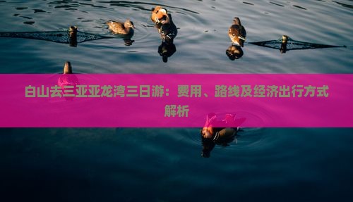 白山去三亚亚龙湾三日游：费用、路线及经济出行方式解析