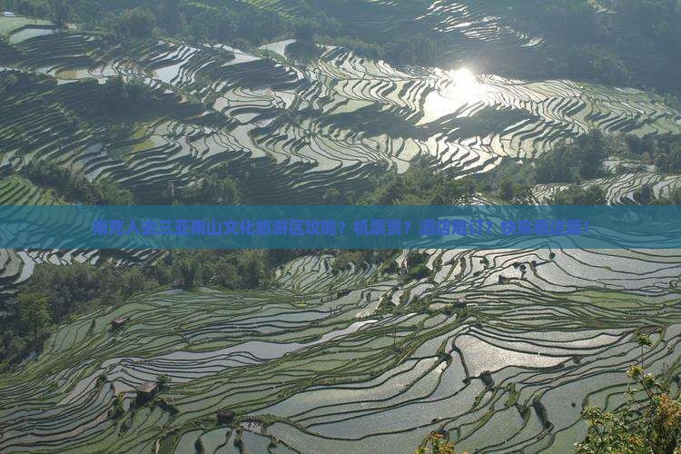 南充人去三亚南山文化旅游区攻略？机票贵？酒店难订？快来看这篇！