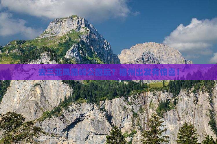 去三亚凤凰岭公园玩？梧州出发有惊喜！