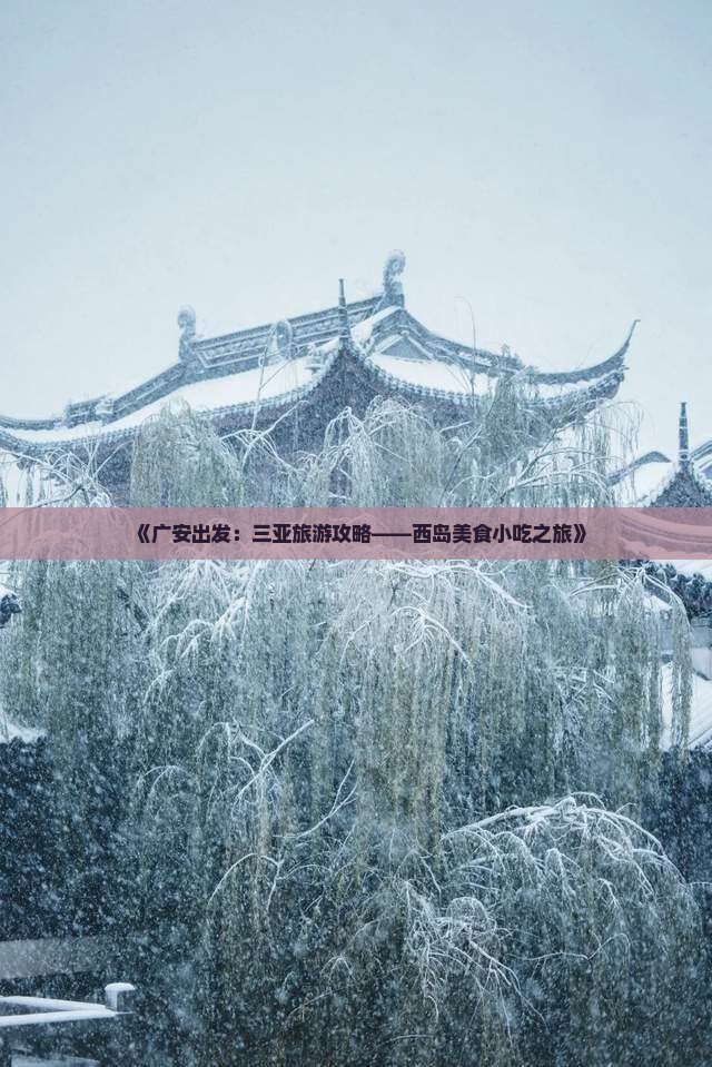 《广安出发：三亚旅游攻略——西岛美食小吃之旅》