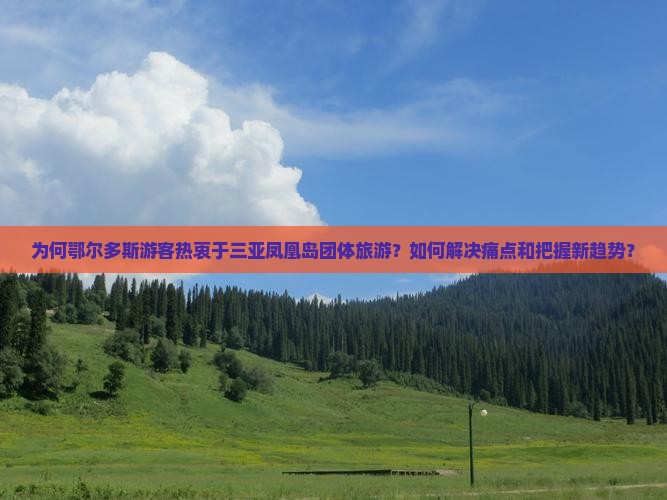为何鄂尔多斯游客热衷于三亚凤凰岛团体旅游？如何解决痛点和把握新趋势？