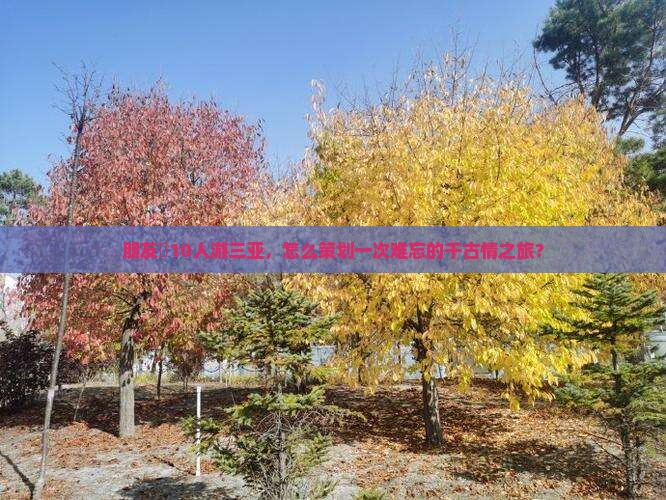 朋友團10人游三亚，怎么策划一次难忘的千古情之旅？