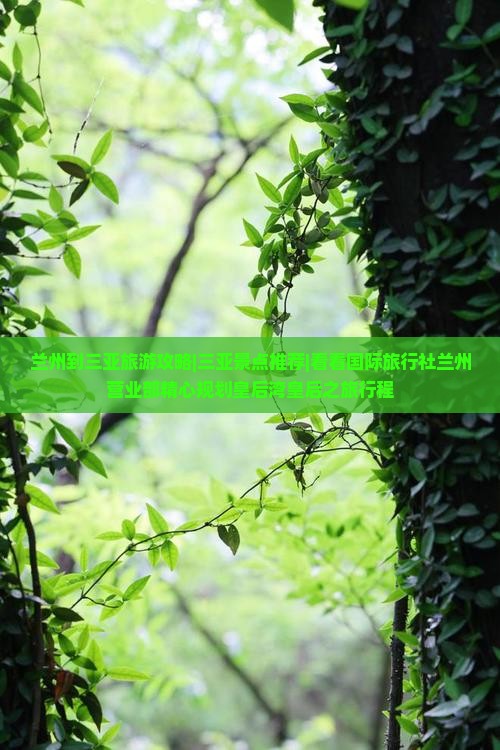 兰州到三亚旅游攻略|三亚景点推荐|看看国际旅行社兰州营业部精心规划皇后湾皇后之旅行程