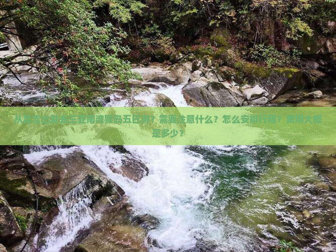 从昌吉出发去三亚南湾猴岛五日游？需要注意什么？怎么安排行程？费用大概是多少？