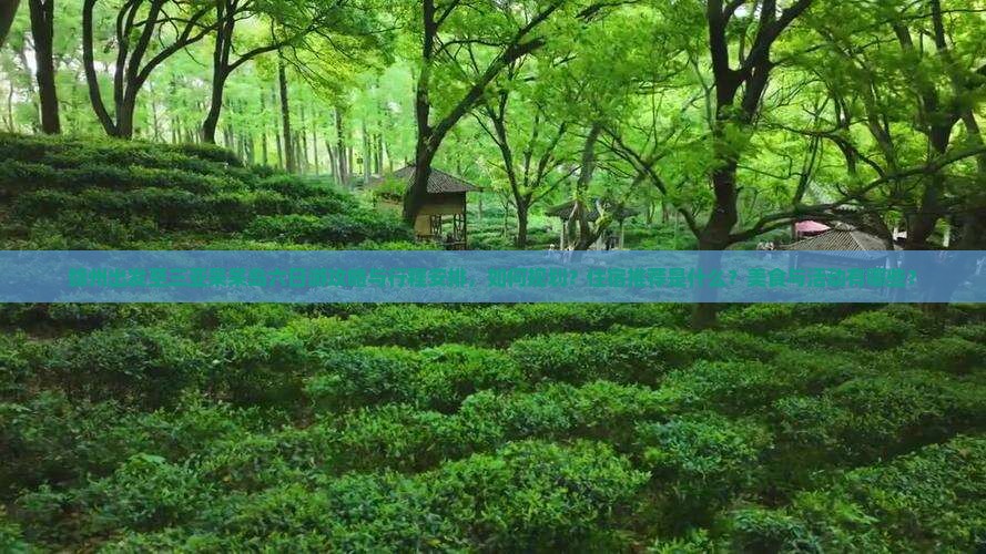赣州出发至三亚呆呆岛六日游攻略与行程安排，如何规划？住宿推荐是什么？美食与活动有哪些？