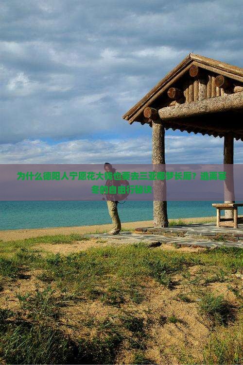 为什么德阳人宁愿花大钱也要去三亚椰梦长廊？逃离寒冬的自由行秘诀