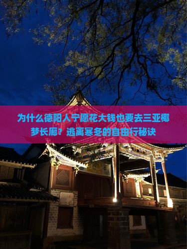 为什么德阳人宁愿花大钱也要去三亚椰梦长廊？逃离寒冬的自由行秘诀