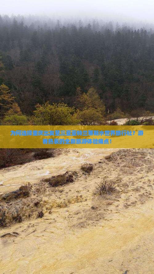 为何选择重庆出发至三亚亚特兰蒂斯水世界旅行社？游客热衷的全新旅游体验痛点！