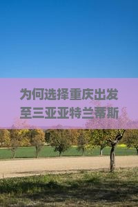 为何选择重庆出发至三亚亚特兰蒂斯水世界旅行社？游客热衷的全新旅游体验痛点！
