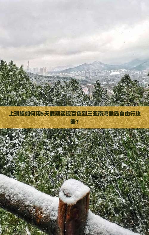 上班族如何用5天假期实现百色到三亚南湾猴岛自由行攻略？