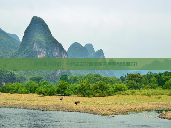 遂宁的朋友们，一起去三亚海棠湾开启梦想假期吗？