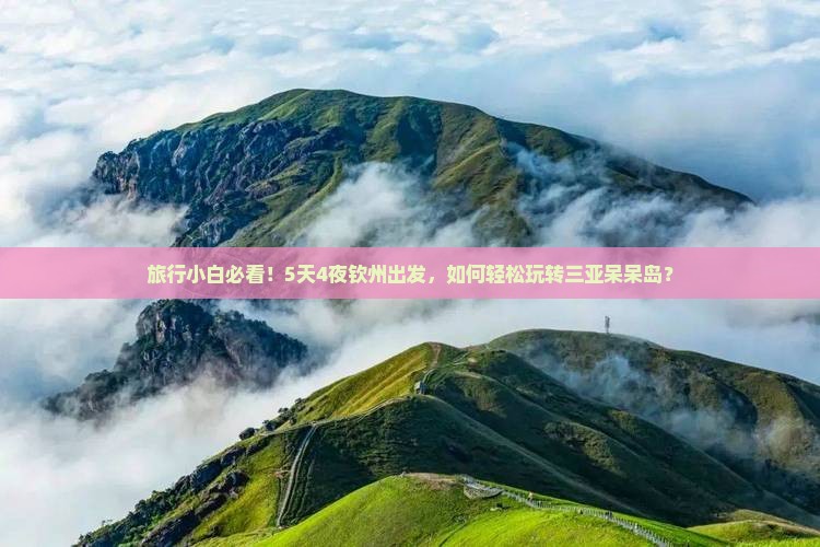 旅行小白必看！5天4夜钦州出发，如何轻松玩转三亚呆呆岛？