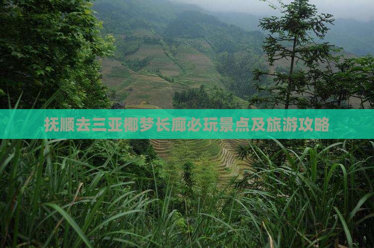 抚顺去三亚椰梦长廊必玩景点及旅游攻略