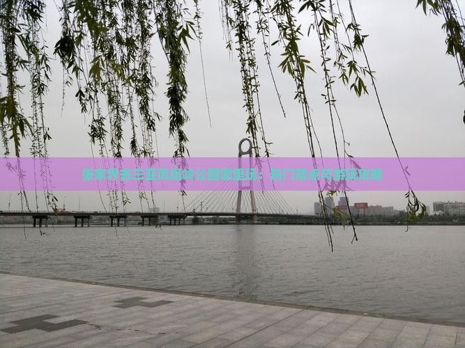 张家界去三亚凤凰岭公园哪里玩：热门景点与游玩攻略