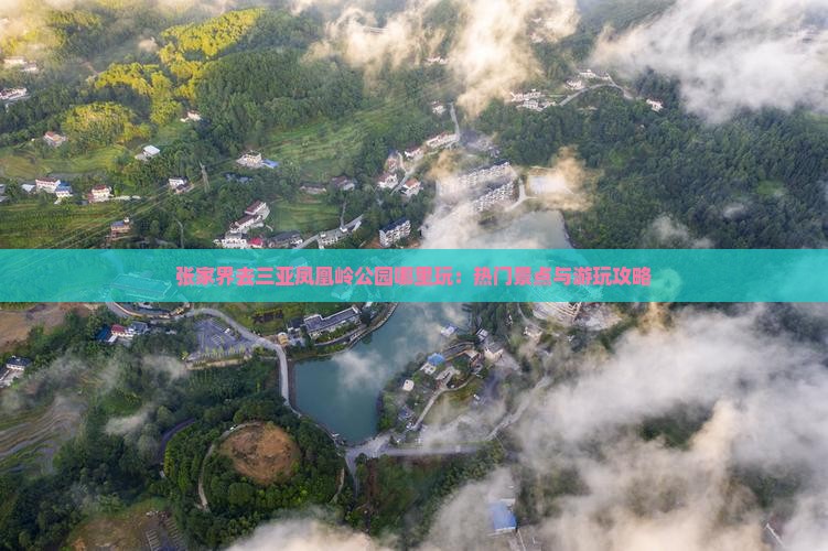 张家界去三亚凤凰岭公园哪里玩：热门景点与游玩攻略