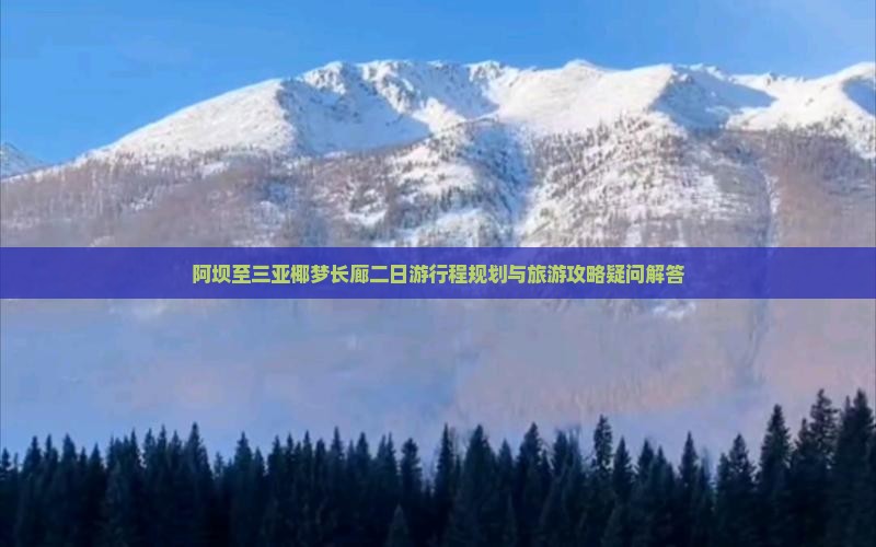 阿坝至三亚椰梦长廊二日游行程规划与旅游攻略疑问解答