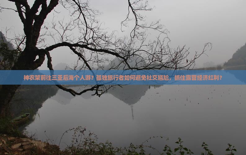 神农架前往三亚后海个人游？孤独旅行者如何避免社交尴尬，抓住露营经济红利？