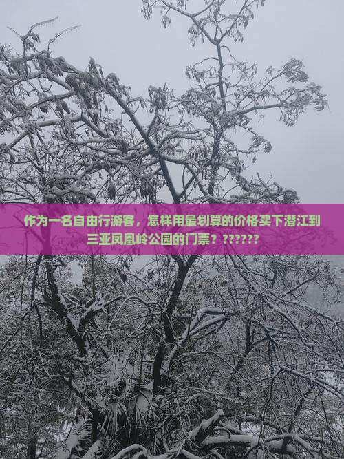 作为一名自由行游客，怎样用最划算的价格买下潜江到三亚凤凰岭公园的门票？??????