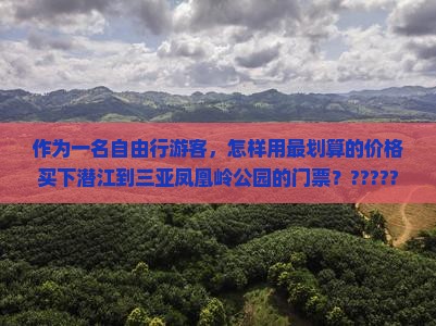 作为一名自由行游客，怎样用最划算的价格买下潜江到三亚凤凰岭公园的门票？??????