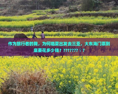 作为旅行者的我，为何临夏出发去三亚，大东海门票到底要花多少钱？???????♀?