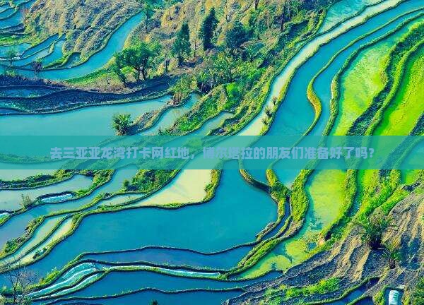 去三亚亚龙湾打卡网红地，博尔塔拉的朋友们准备好了吗？