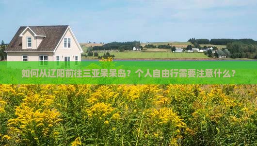 如何从辽阳前往三亚呆呆岛？个人自由行需要注意什么？
