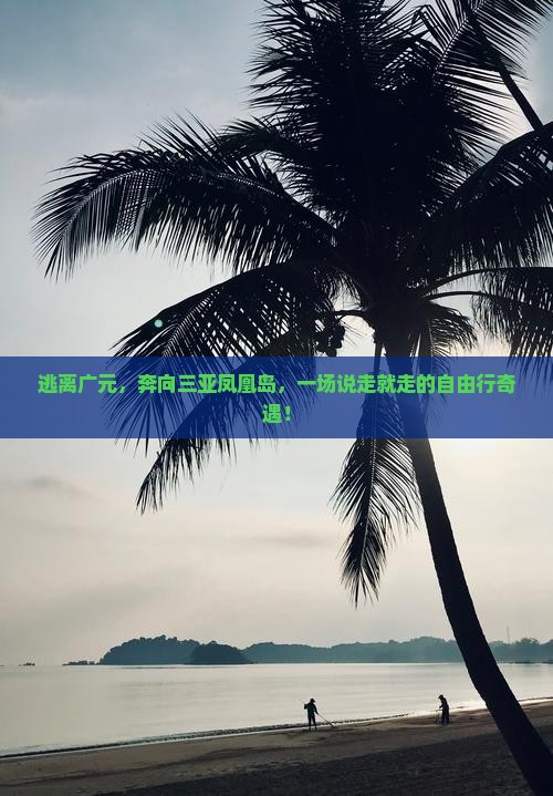 逃离广元，奔向三亚凤凰岛，一场说走就走的自由行奇遇！