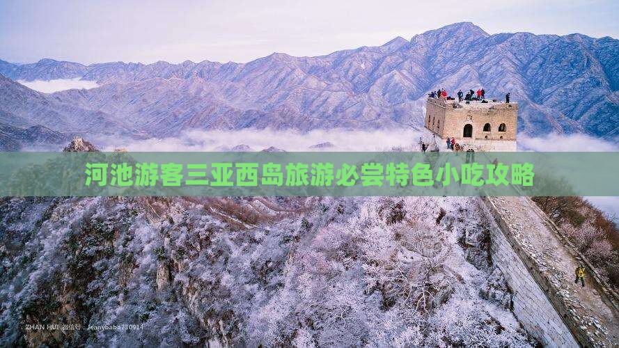 河池游客三亚西岛旅游必尝特色小吃攻略