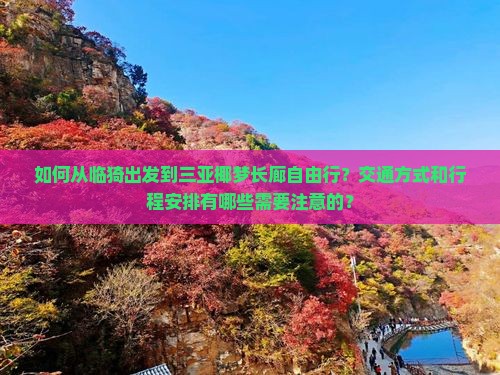 如何从临猗出发到三亚椰梦长廊自由行？交通方式和行程安排有哪些需要注意的？