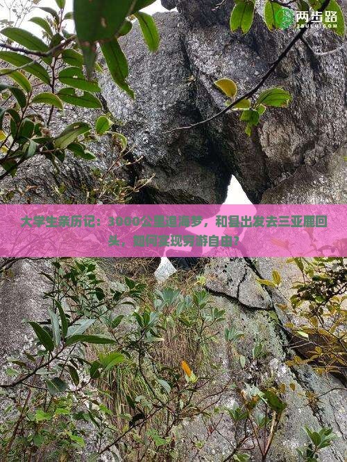 大学生亲历记：3000公里追海梦，和县出发去三亚鹿回头，如何实现穷游自由？