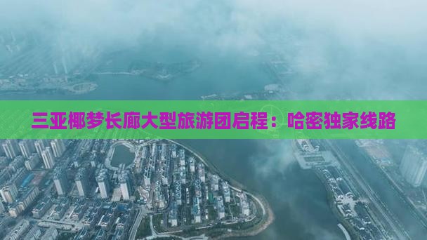 三亚椰梦长廊大型旅游团启程：哈密独家线路