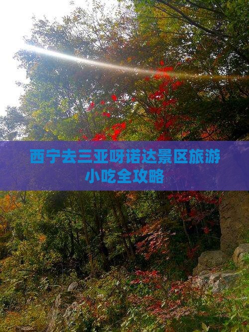 西宁去三亚呀诺达景区旅游小吃