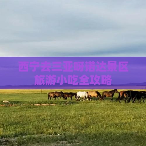 西宁去三亚呀诺达景区旅游小吃