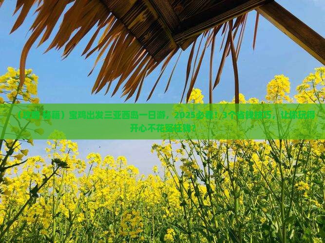 宝鸡出发三亚西岛一日游