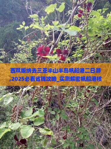 西双版纳去三亚半山半岛帆船港二日游