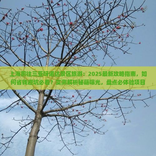 上海前往三亚呀诺达景区旅游