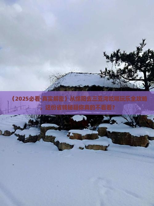 绵阳前往三亚三亚湾旅游小吃