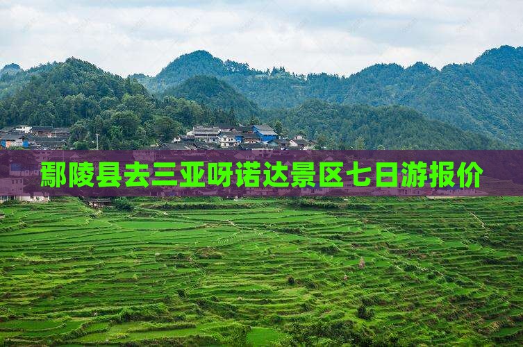 鄢陵县去三亚呀诺达景区七日游 鄢陵县去三亚呀诺达景区七日游