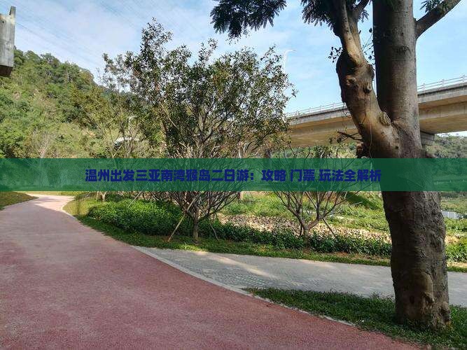 温州出发三亚南湾猴岛二日游
