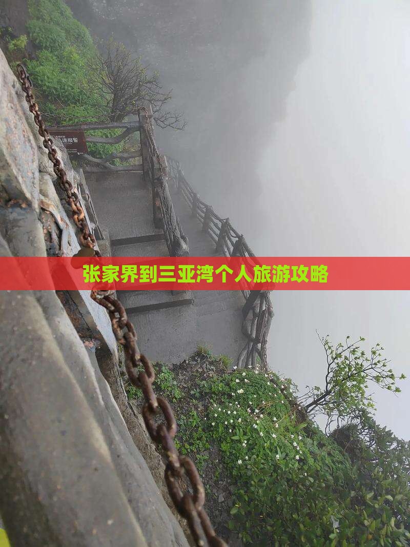 张家界去三亚三亚湾个人游