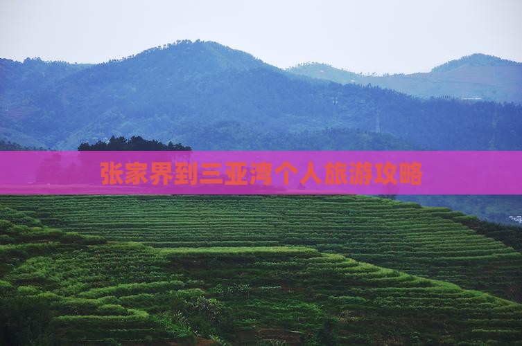 张家界去三亚三亚湾个人游