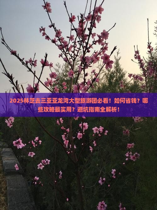 林芝去三亚亚龙湾大型旅游团