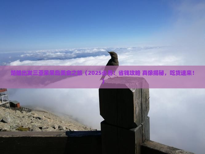 楚雄出发三亚呆呆岛旅游小吃