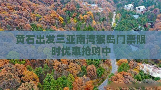 黄石出发三亚南湾猴岛门票