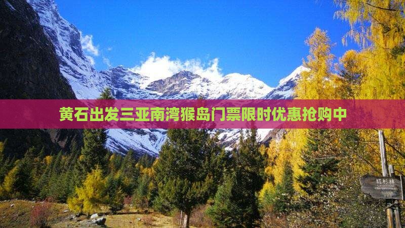 黄石出发三亚南湾猴岛门票
