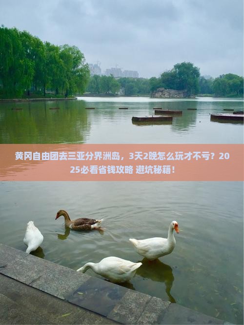 黄冈去三亚分界洲岛自由团