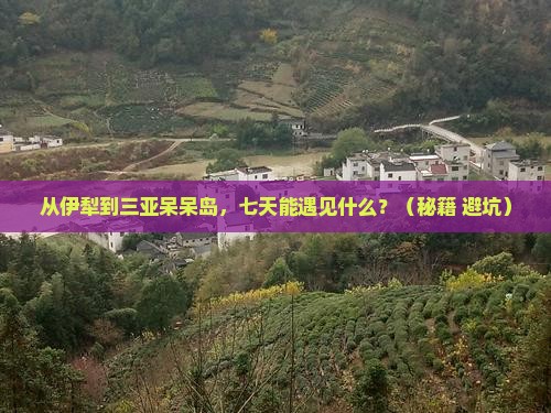 伊犁前往三亚呆呆岛七日游