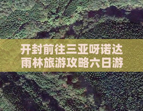 开封前往三亚呀诺达景区六日游