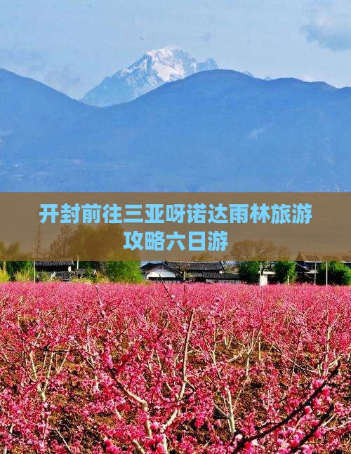 开封前往三亚呀诺达景区六日游