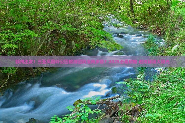 赣州前往三亚凤凰岭公园大型旅游团